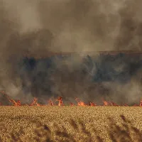 Нервы — Втомився — обложка